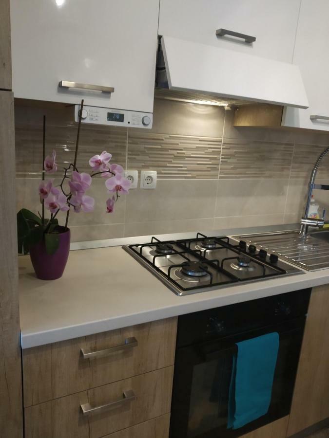 Apartment Manuela