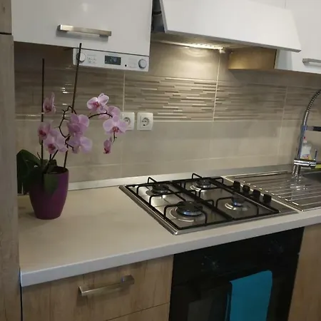 Apartman Manuela Matulji Exterior photo