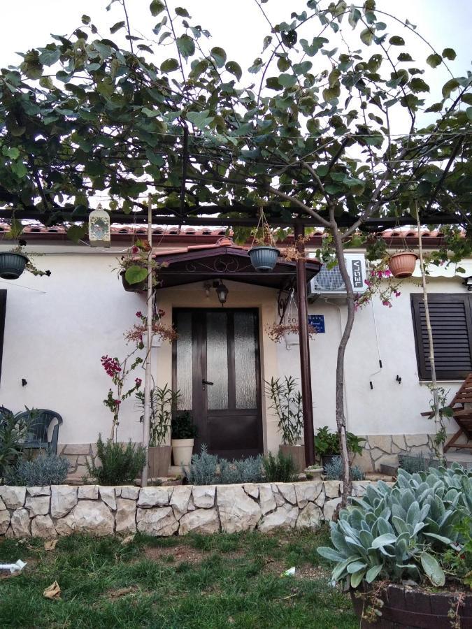Apartament Manuela *