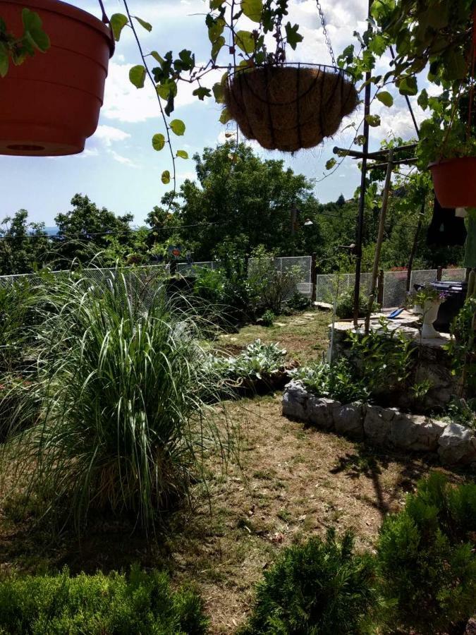 Manuela Apartament